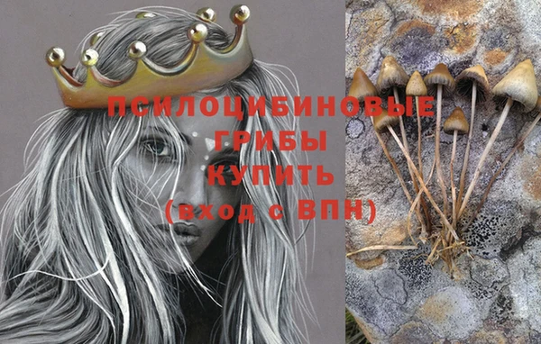 спайс Бородино