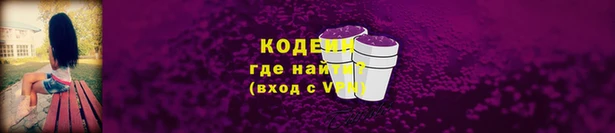 спайс Бородино