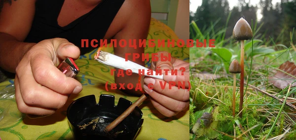 спайс Бородино