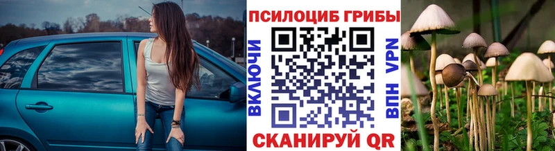 Псилоцибиновые грибы Magic Shrooms  продажа наркотиков  Городище 